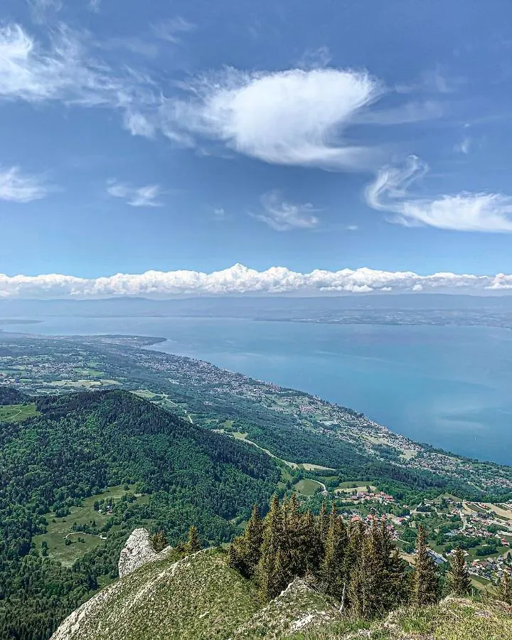Appartement Le Léman à Thollon-les-Mémises