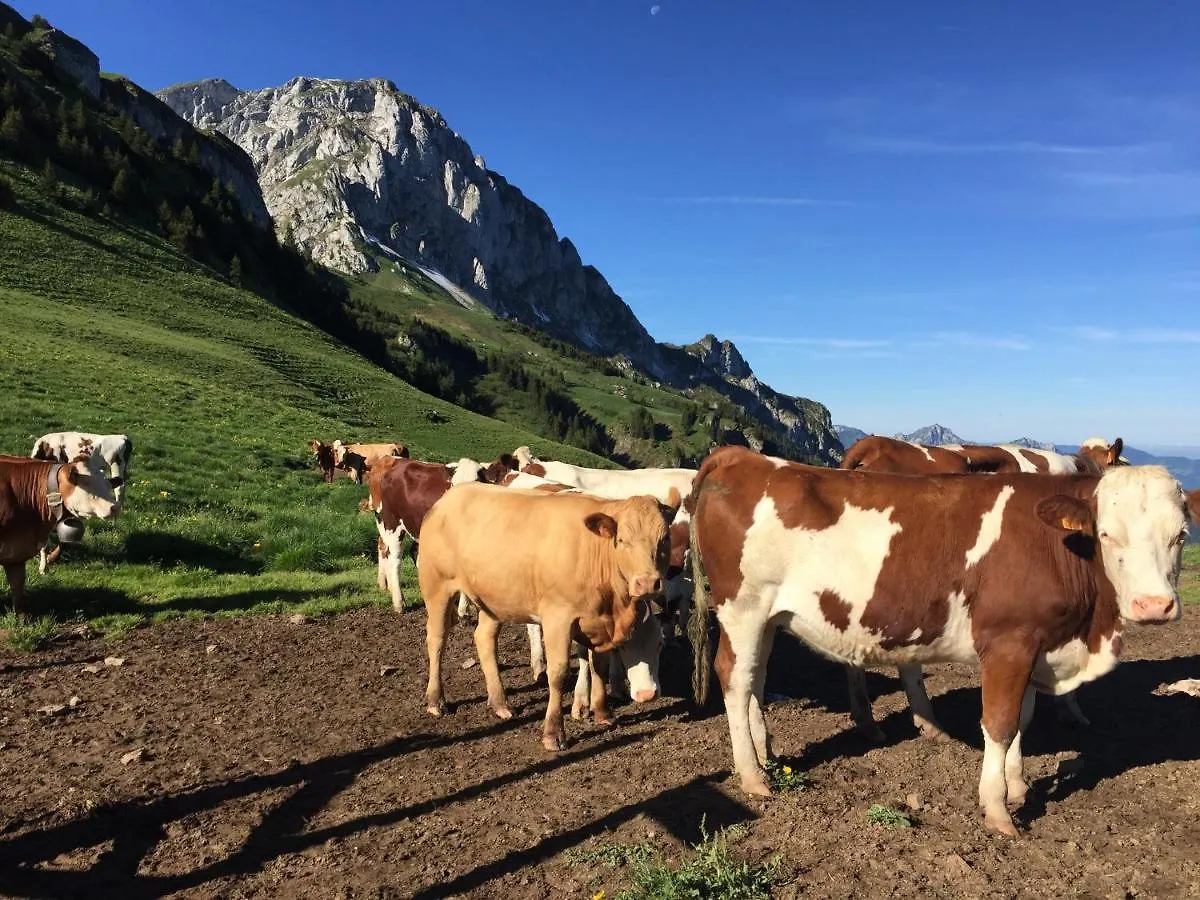 Appartement Le Léman à Thollon-les-Mémises